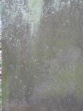 image of grave number 291736